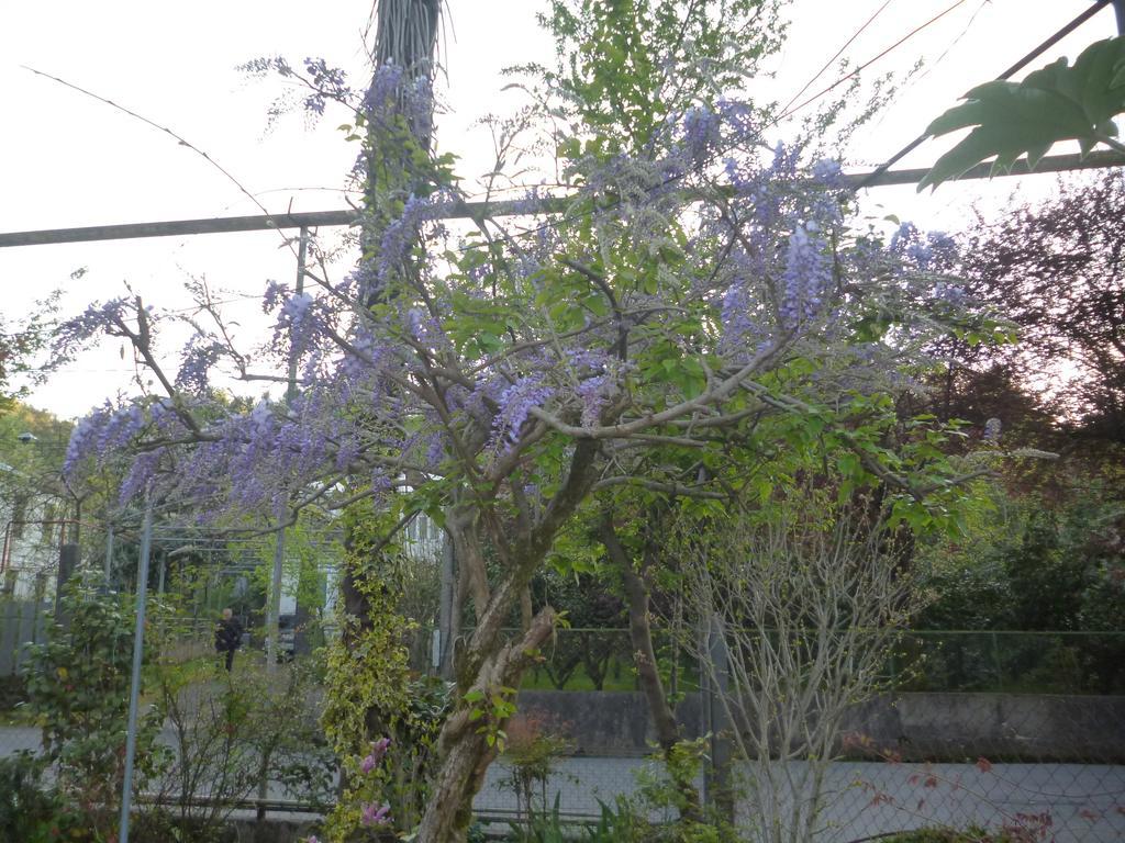 Guest House Elena 马钦加里 外观 照片
